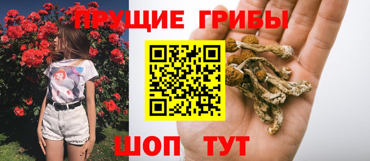Галлюциногенные грибы ЛСД  Вход с VPN  Электросталь 
